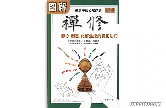 圖解禪修：佛法中的心理療法