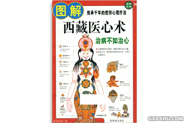 圖解西藏醫心術