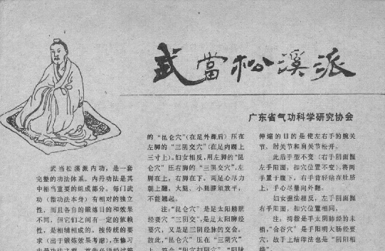 氣功:武當松溪派